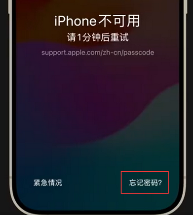 贵池苹果手机密码维修分享iPhone忘记了刚设置的密码 