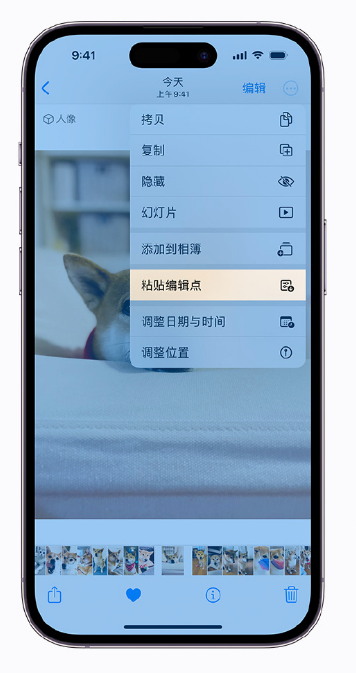 贵池苹果手机维修分享iOS 16 小技巧 